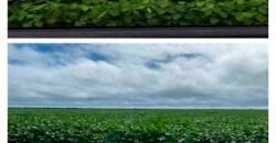 Fazenda Estruturada para Lavoura e Pasto c/ Maquinário 17.125 ha | Região de Araguaína – TO