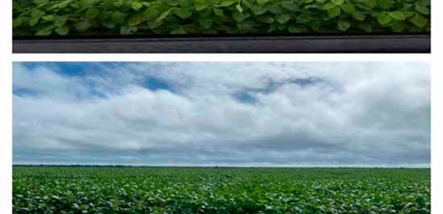 Fazenda Estruturada para Lavoura e Pasto c/ Maquinário 17.125 ha | Região de Araguaína – TO