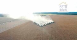 Fazenda Estruturada para Lavoura e Pasto c/ Maquinário 17.125 ha | Região de Araguaína – TO