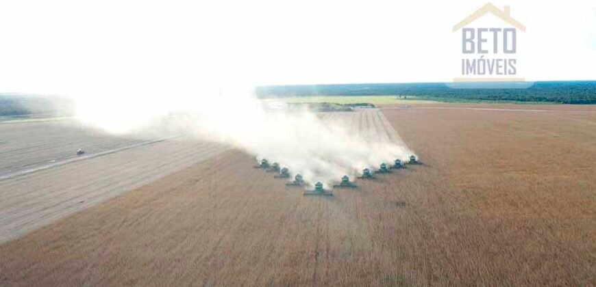 Fazenda Estruturada para Lavoura e Pasto c/ Maquinário 17.125 ha | Região de Araguaína – TO