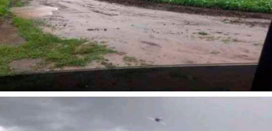 Fazenda Estruturada para Lavoura e Pasto c/ Maquinário 17.125 ha | Região de Araguaína – TO