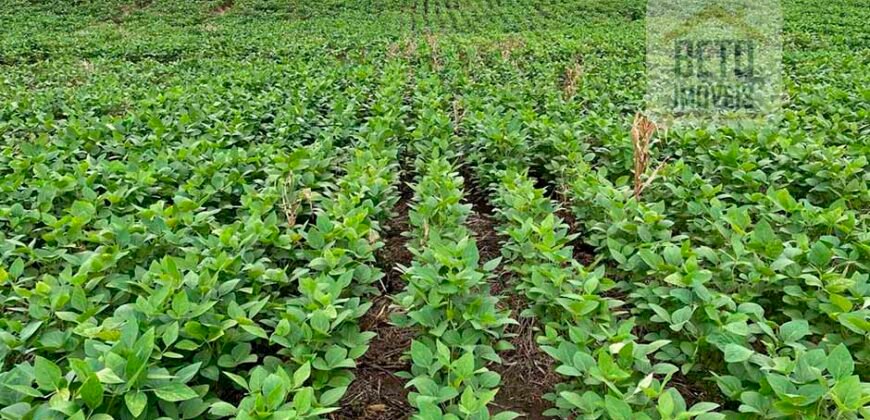 Fazenda Estruturada para Lavoura e Pasto c/ Maquinário 17.125 ha | Região de Araguaína – TO