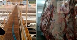 Fazenda Top Pecuária, Lavoura, Piscicultura e Frigorífico 60.288 ha | Muquém de São Francisco/ BA Fazenda Top Pecuária, Lavoura, Piscicultura e Frigorífico 60.288 ha | Muquém de São Francisco/ BA