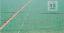 Fazenda Top Pecuária, Lavoura, Piscicultura e Frigorífico 60.288 ha | Muquém de São Francisco/ BA Fazenda Top Pecuária, Lavoura, Piscicultura e Frigorífico 60.288 ha | Muquém de São Francisco/ BA