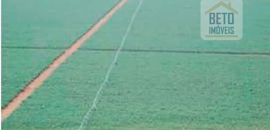 Fazenda Top Pecuária, Lavoura, Piscicultura e Frigorífico 60.288 ha | Muquém de São Francisco/ BA Fazenda Top Pecuária, Lavoura, Piscicultura e Frigorífico 60.288 ha | Muquém de São Francisco/ BA