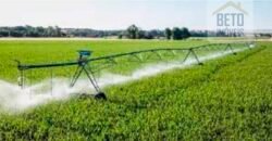 Fazenda Top Pecuária, Lavoura, Piscicultura e Frigorífico 60.288 ha | Muquém de São Francisco/ BA Fazenda Top Pecuária, Lavoura, Piscicultura e Frigorífico 60.288 ha | Muquém de São Francisco/ BA