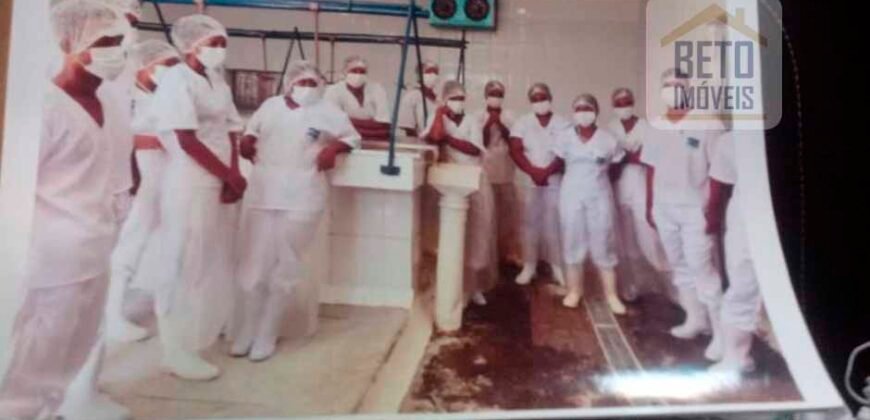 Fazenda Top Pecuária, Lavoura, Piscicultura e Frigorífico 60.288 ha | Muquém de São Francisco/ BA Fazenda Top Pecuária, Lavoura, Piscicultura e Frigorífico 60.288 ha | Muquém de São Francisco/ BA