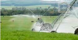 Fazenda Top Pecuária, Lavoura, Piscicultura e Frigorífico 60.288 ha | Muquém de São Francisco/ BA Fazenda Top Pecuária, Lavoura, Piscicultura e Frigorífico 60.288 ha | Muquém de São Francisco/ BA