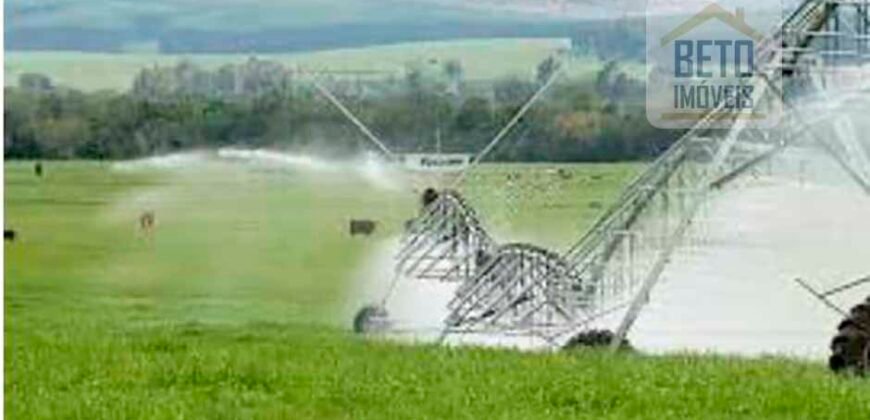 Fazenda Top Pecuária, Lavoura, Piscicultura e Frigorífico 60.288 ha | Muquém de São Francisco/ BA Fazenda Top Pecuária, Lavoura, Piscicultura e Frigorífico 60.288 ha | Muquém de São Francisco/ BA