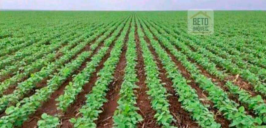 Fazenda Dupla Aptidão 89 mil has Toda Estruturada Pista de Pouso e Hangar | Paranatinga/ MT