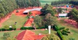 Fazenda Dupla Aptidão 89 mil has Toda Estruturada Pista de Pouso e Hangar | Paranatinga/ MT