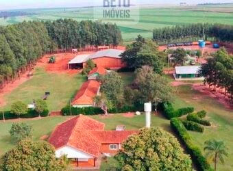 Fazenda Dupla Aptidão 89 mil has Toda Estruturada Pista de Pouso e Hangar | Paranatinga/ MT