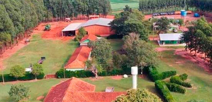 Fazenda Dupla Aptidão 89 mil has Toda Estruturada Pista de Pouso e Hangar | Paranatinga/ MT