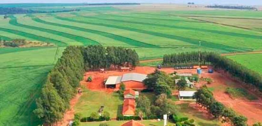 Fazenda Dupla Aptidão 89 mil has Toda Estruturada Pista de Pouso e Hangar | Paranatinga/ MT