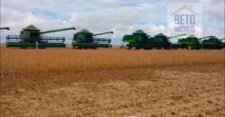 Fazenda Dupla Aptidão 89 mil has Toda Estruturada Pista de Pouso e Hangar | Paranatinga/ MT