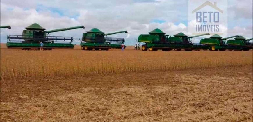 Fazenda Dupla Aptidão 89 mil has Toda Estruturada Pista de Pouso e Hangar | Paranatinga/ MT