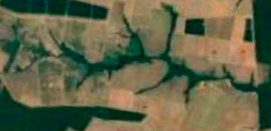 Fazenda Dupla Aptidão 89 mil has Toda Estruturada Pista de Pouso e Hangar | Paranatinga/ MT