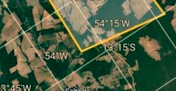 Fazenda Dupla Aptidão 89 mil has Toda Estruturada Pista de Pouso e Hangar | Paranatinga/ MT