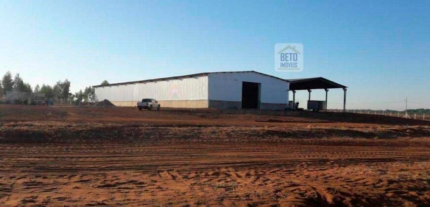 Fazenda Dupla Aptidão 89 mil has Toda Estruturada Pista de Pouso e Hangar | Paranatinga/ MT