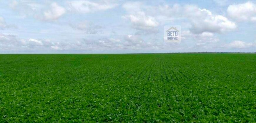 Fazenda Dupla Aptidão 89 mil has Toda Estruturada Pista de Pouso e Hangar | Paranatinga/ MT