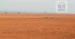 Fazenda Dupla Aptidão 89 mil has Toda Estruturada Pista de Pouso e Hangar | Paranatinga/ MT