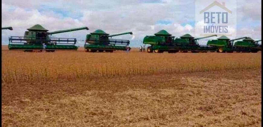 Fazenda Dupla Aptidão 89 mil has Toda Estruturada Pista de Pouso e Hangar | Paranatinga/ MT