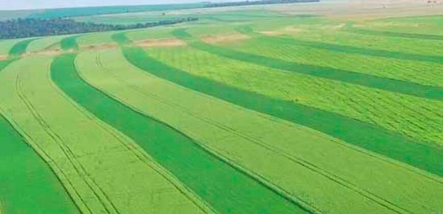 Fazenda Dupla Aptidão 89 mil has Toda Estruturada Pista de Pouso e Hangar | Paranatinga/ MT