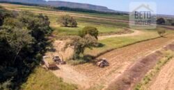 Fazenda Dupla Aptidão Lavoura e Pasto com 18.800 hectares | Zona Rural de Goiatins/ TO