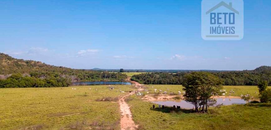 Fazenda Dupla Aptidão Lavoura e Pasto com 18.800 hectares | Zona Rural de Goiatins/ TO