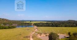 Fazenda Dupla Aptidão Lavoura e Pasto com 18.800 hectares | Zona Rural de Goiatins/ TO