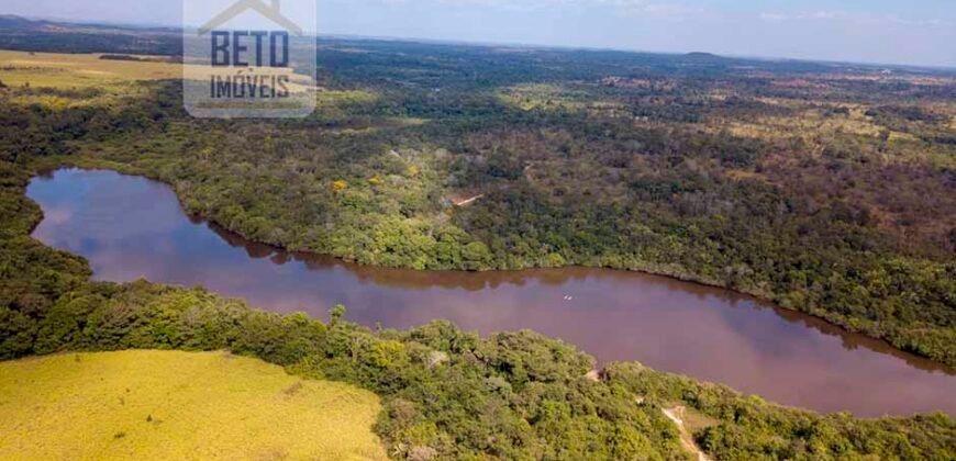 Fazenda Dupla Aptidão Lavoura e Pasto com 18.800 hectares | Zona Rural de Goiatins/ TO