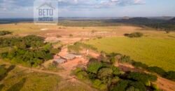 Fazenda Dupla Aptidão Lavoura e Pasto com 18.800 hectares | Zona Rural de Goiatins/ TO