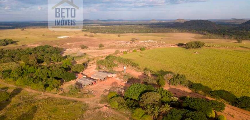 Fazenda Dupla Aptidão Lavoura e Pasto com 18.800 hectares | Zona Rural de Goiatins/ TO