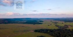 Fazenda Dupla Aptidão Lavoura e Pasto com 18.800 hectares | Zona Rural de Goiatins/ TO