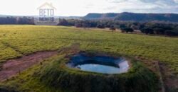 Fazenda Dupla Aptidão Lavoura e Pasto com 18.800 hectares | Zona Rural de Goiatins/ TO