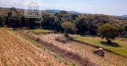 Fazenda Dupla Aptidão Lavoura e Pasto com 18.800 hectares | Zona Rural de Goiatins/ TO