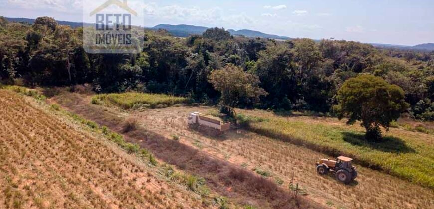 Fazenda Dupla Aptidão Lavoura e Pasto com 18.800 hectares | Zona Rural de Goiatins/ TO