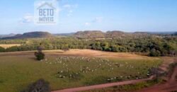 Fazenda Dupla Aptidão Lavoura e Pasto com 18.800 hectares | Zona Rural de Goiatins/ TO
