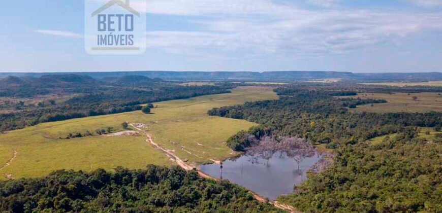 Fazenda Dupla Aptidão Lavoura e Pasto com 18.800 hectares | Zona Rural de Goiatins/ TO