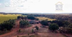 Fazenda Dupla Aptidão Lavoura e Pasto com 18.800 hectares | Zona Rural de Goiatins/ TO