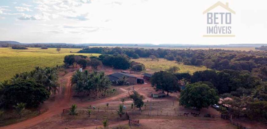 Fazenda Dupla Aptidão Lavoura e Pasto com 18.800 hectares | Zona Rural de Goiatins/ TO