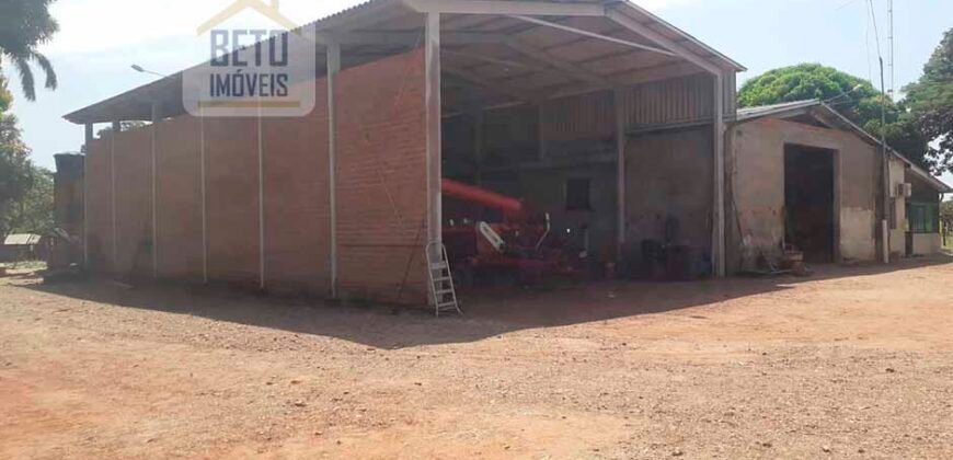 Oportunidade Única: Fazenda de 624 Alqueires Lavoura e Pasto | Cristalândia/ TO