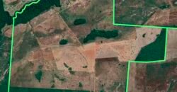 Oportunidade Única: Fazenda de 624 Alqueires Lavoura e Pasto | Cristalândia/ TO