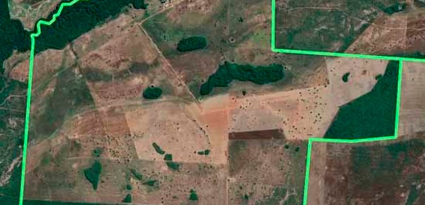 Oportunidade Única: Fazenda de 624 Alqueires Lavoura e Pasto | Cristalândia/ TO