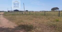 Oportunidade Única: Fazenda de 624 Alqueires Lavoura e Pasto | Cristalândia/ TO