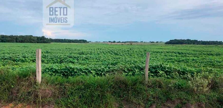 Oportunidade Única: Fazenda de 624 Alqueires Lavoura e Pasto | Cristalândia/ TO