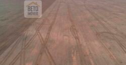 Excelente Fazenda 10 mil hetares pronta p/ plantio soja e arroz | Pedro Afonso/ TO