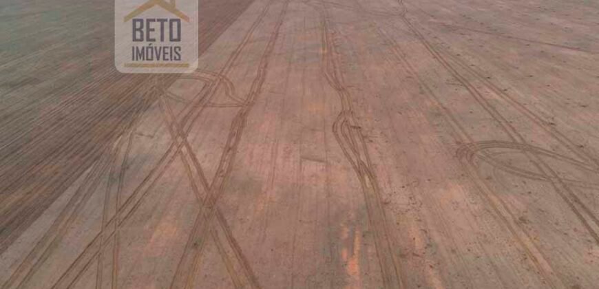 Excelente Fazenda 10 mil hetares pronta p/ plantio soja e arroz | Pedro Afonso/ TO