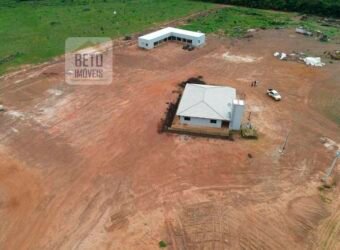 Excelente Fazenda 10 mil hetares pronta p/ plantio soja e arroz | Pedro Afonso/ TO
