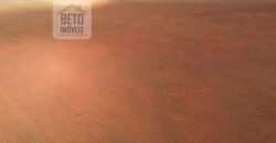 Excelente Fazenda 10 mil hetares pronta p/ plantio soja e arroz | Pedro Afonso/ TO